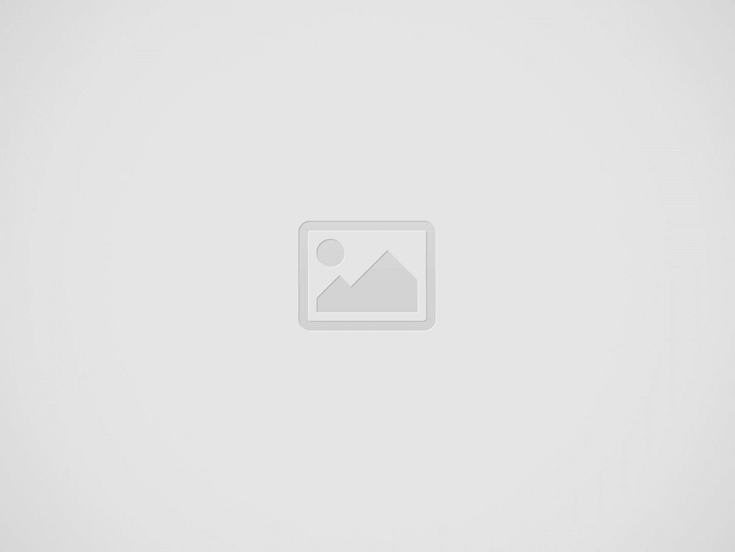 Renovierungsarbeiten – Teil eines umfassenden und professionellen Servicepakets